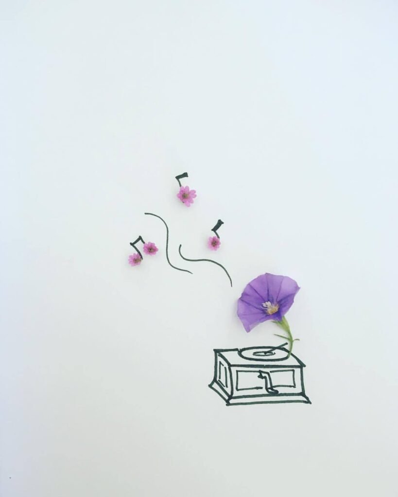 45040908665_0b9e7e8ea8_o